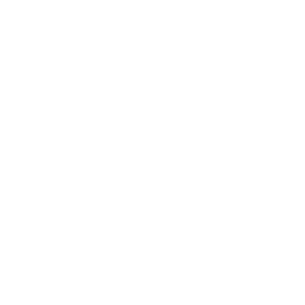 shape-22